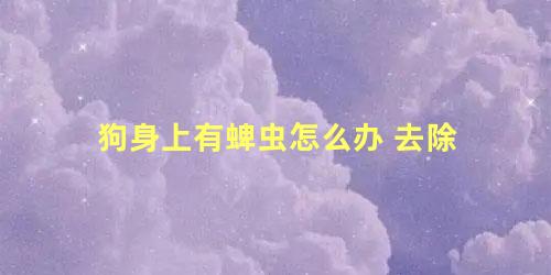 狗身上有蜱虫怎么办 去除